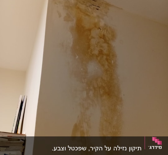 כתם רטיבות על קיר פנימי
